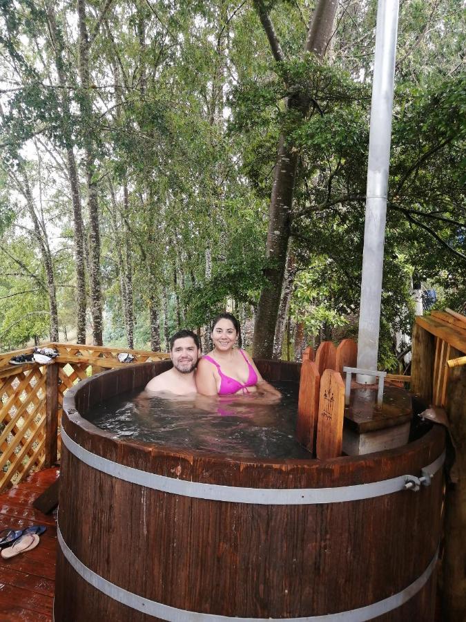 Cabanas Huilipan Gonzalez Nueva Imperial Eksteriør billede