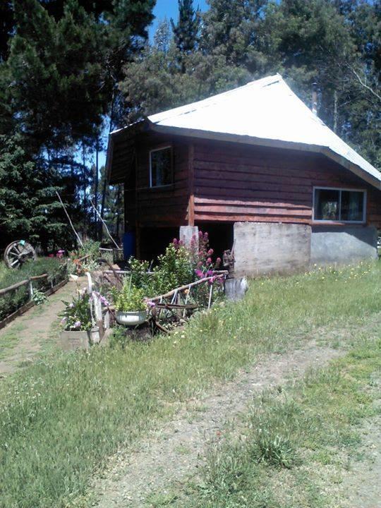 Cabanas Huilipan Gonzalez Nueva Imperial Eksteriør billede