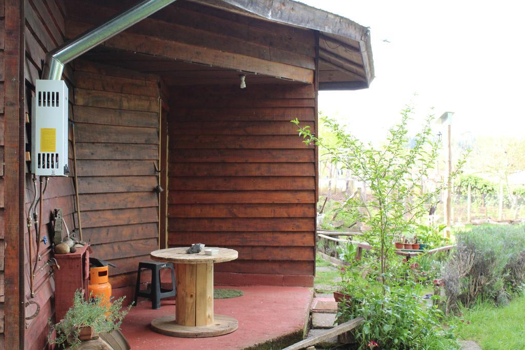 Cabanas Huilipan Gonzalez Nueva Imperial Eksteriør billede